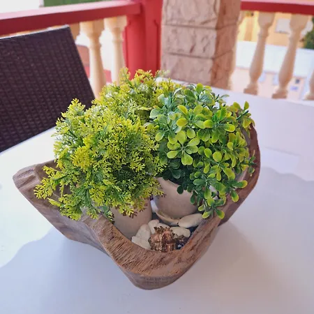 Semesterbostad Playa Chilches (Valencia)